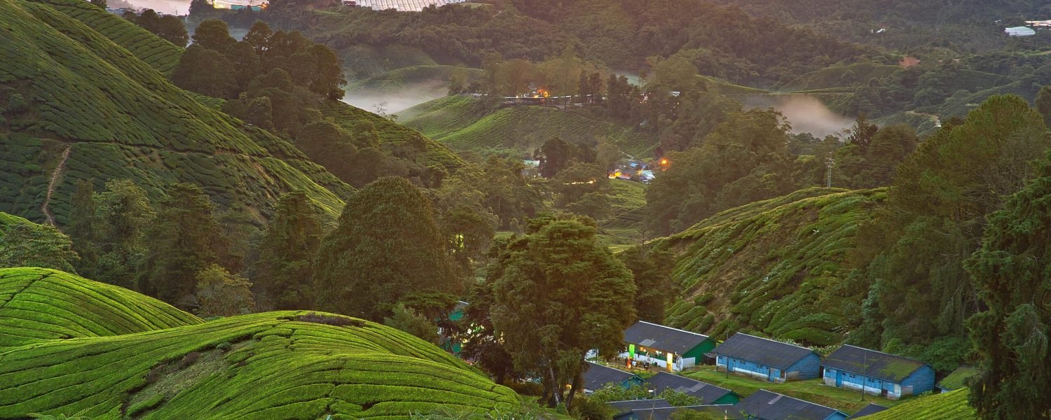 Law Firm in Cameron Highlands by TYH & Co. Best Lawyers in Malaysia